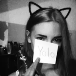 yolo_inactive28628