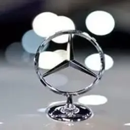 galentwagen