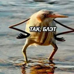 sega.vast
