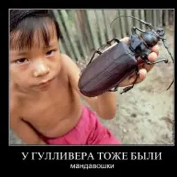 Mandavoshka_inactive