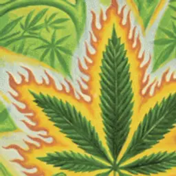 HQ420