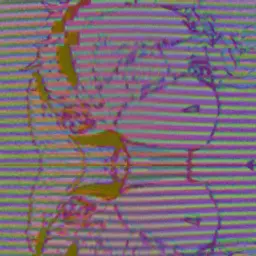 MaxPap