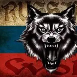 VOLK161RUS