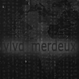 vlvd_merdeux