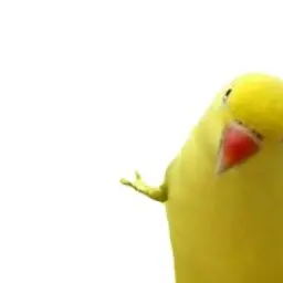 Hawkeyee
