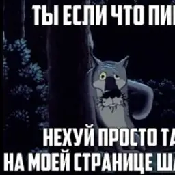 AleksUdav42842