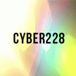 Cyber228
