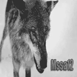 Mssa12