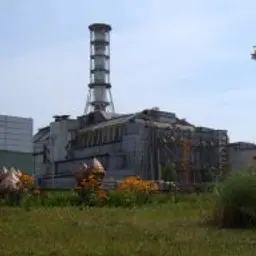 ДмитрийШухов49635