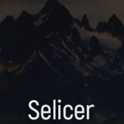 Selicer