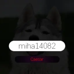 miha14082