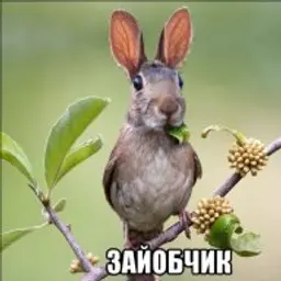 mykytchuk