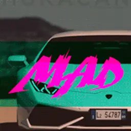 Mad_1337