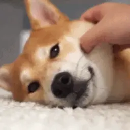 skinpack
