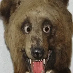 tr9y