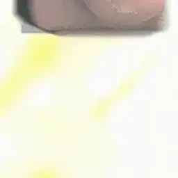 SpEED