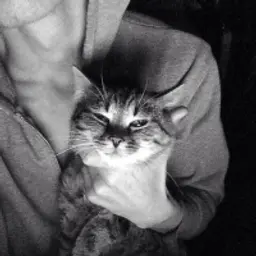 toshka02rus