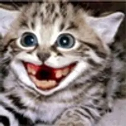 duserdd