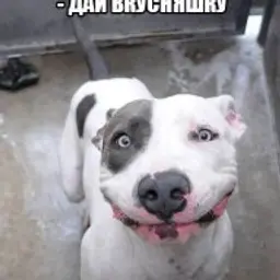 Кусок_Матраса;)