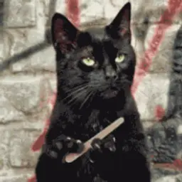 BadCatNyaaa