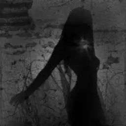 Shadowlost