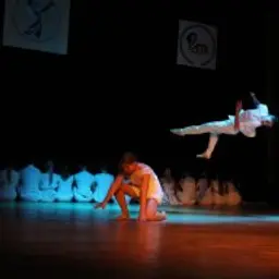 DityaMIDA