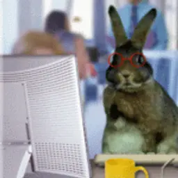 GorodTV