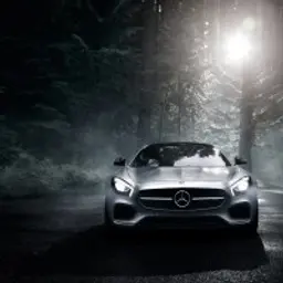 _AMG_