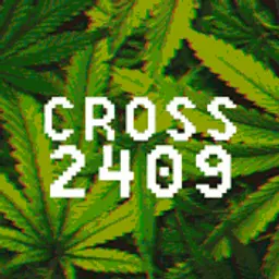 Cross2409