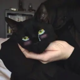 CruelMugen