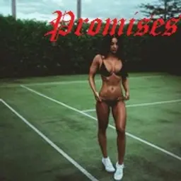 Promises