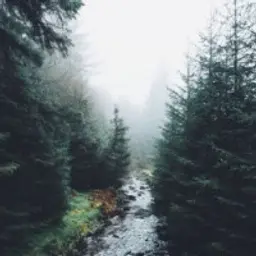 DarkByrn