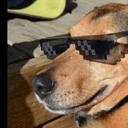 EZ_L0L