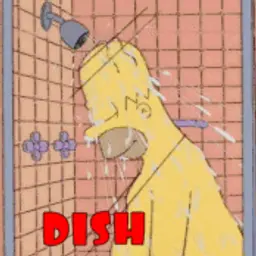 Dish1337