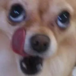 leninglavnioi