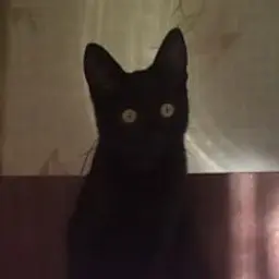 SadMiroku