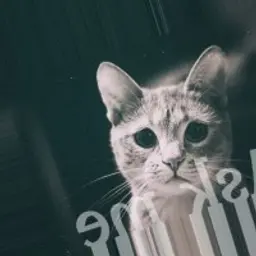 waaaaar