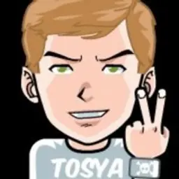 toslik55