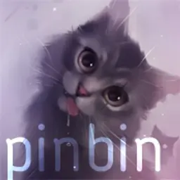 pinbin