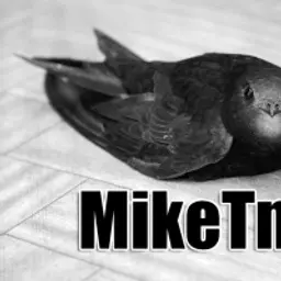 MikeTmp