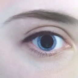 xaxain