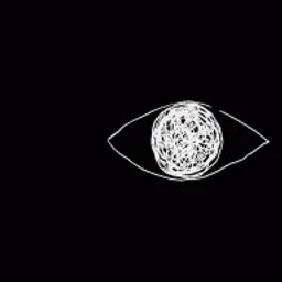spayfir