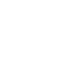 Nemsikz