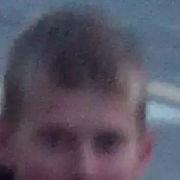gtXER