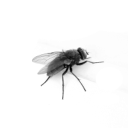 vinichuk50