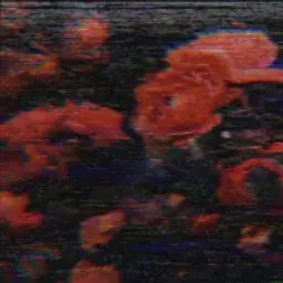 music7pirate