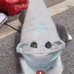 Borebra