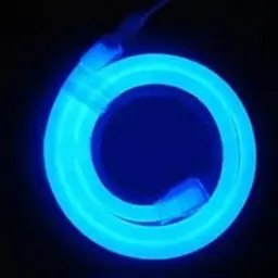 NeonLover88612