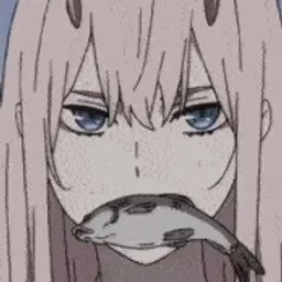 ooo1234654