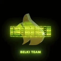 BelkiTeam